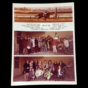 Vintage 1978 Horse Racing Photo Aqueduct SEA TO SEA Winner Circle Color